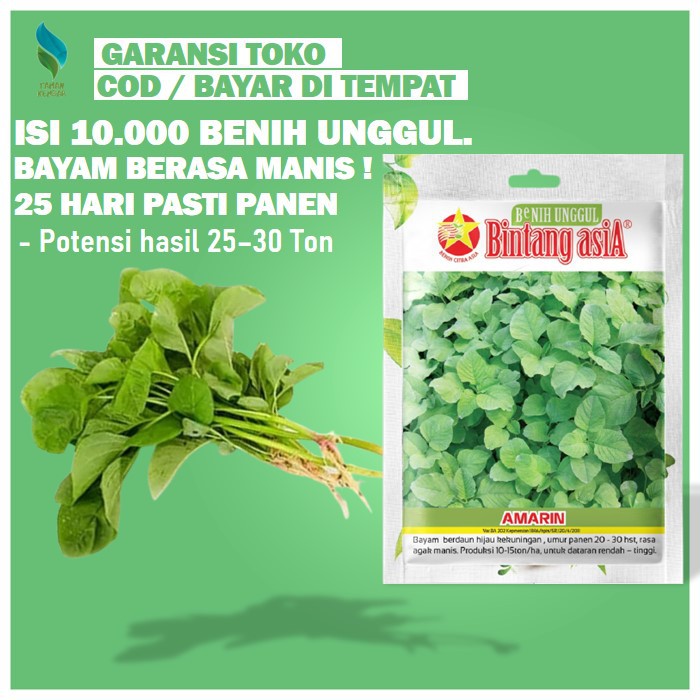 Jual Benih Sayuran Benih Sayur Bayam Bibit Sayuran Benih Tanaman ...