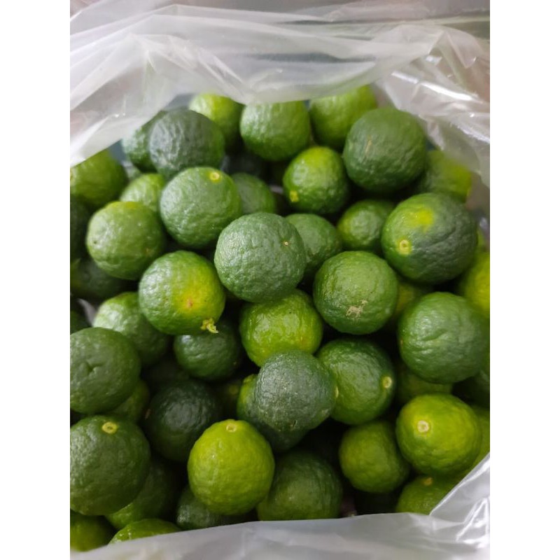 Jual (500GR) Jeruk limau Jeruk sambal solo TERMURAH (UKURAN RANDOM ...