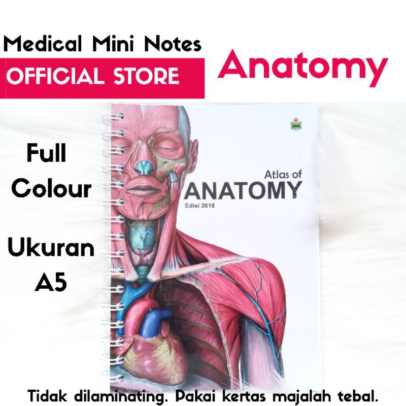 Jual Medical Mini Notes - Atlas Of Anatomy | MMN Anatomi | Buku Saku ...