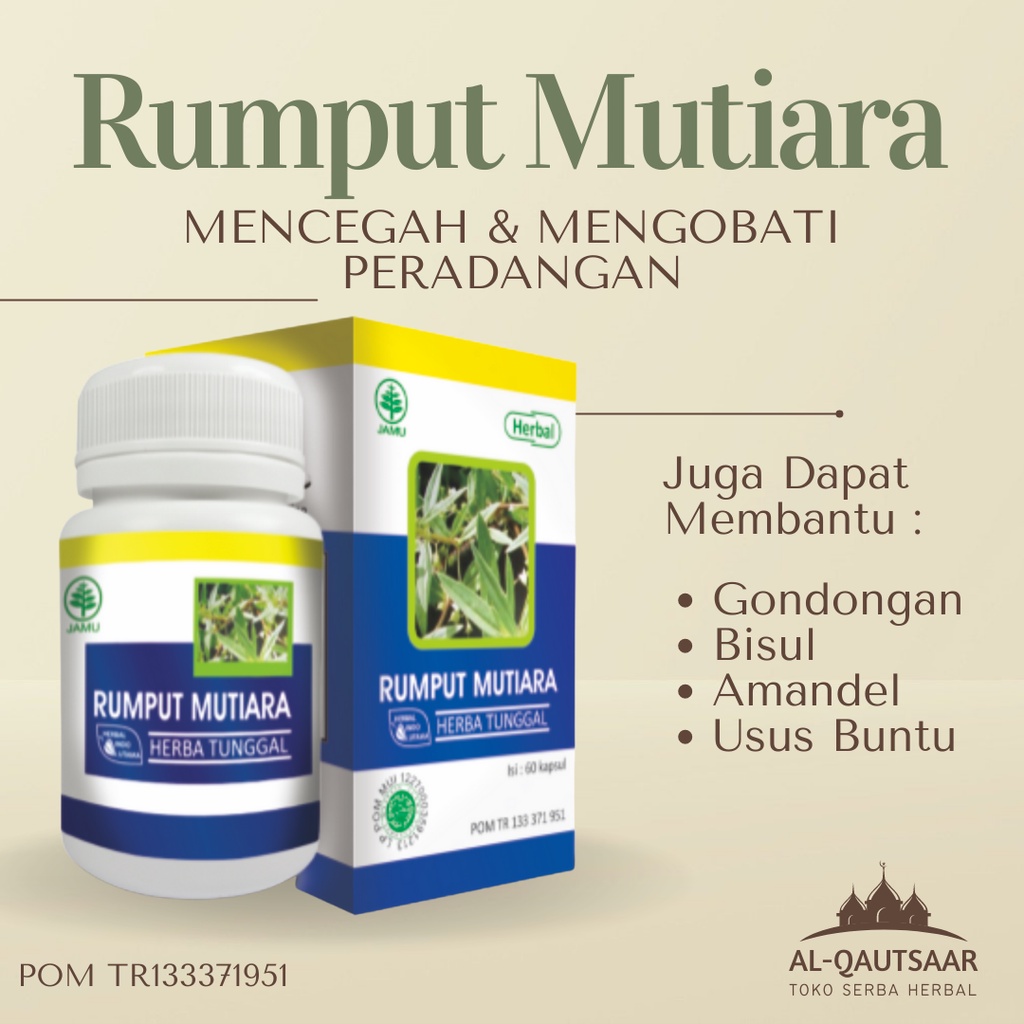 Jual Kapsul Rumput Mutiara Obat Darah Tinggi Radang Tenggorokan