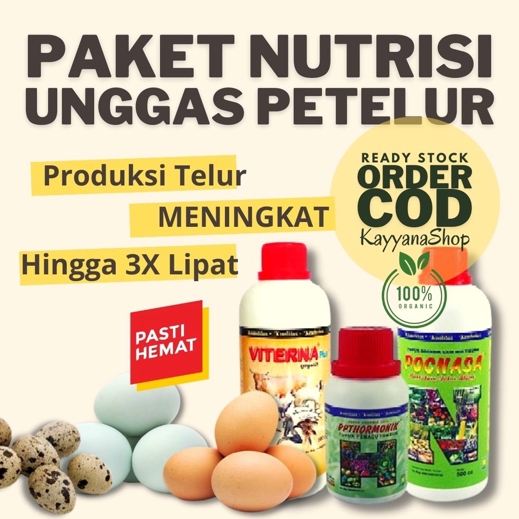 Jual Paket Ternak NASA Unggas Petelur / Ayam Petelur Puyuh Bebek