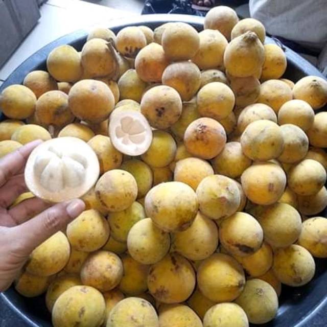 Jual Kecapi Terlengkap & Harga Terbaru Juli 2026 | Shopee Indonesia