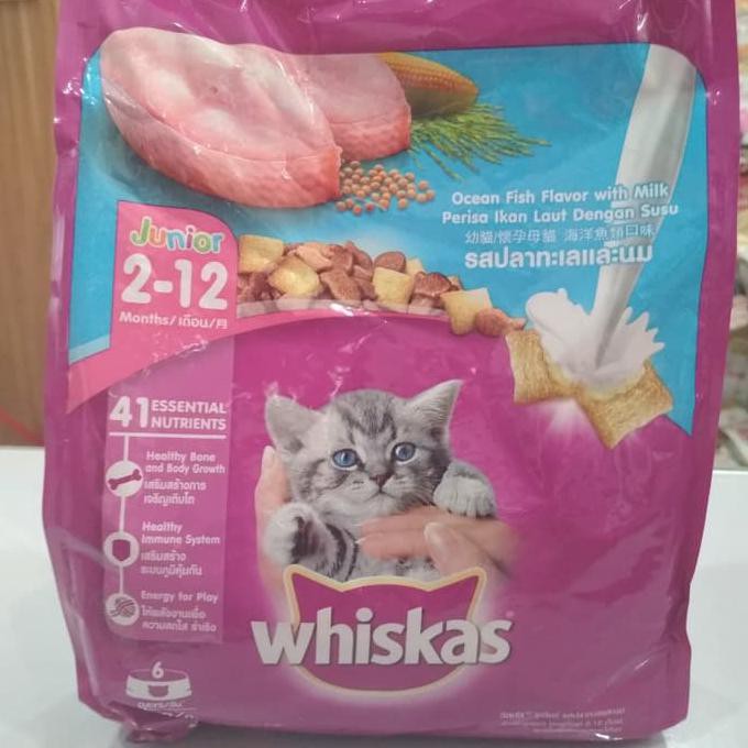 Whiskas store junior tuna