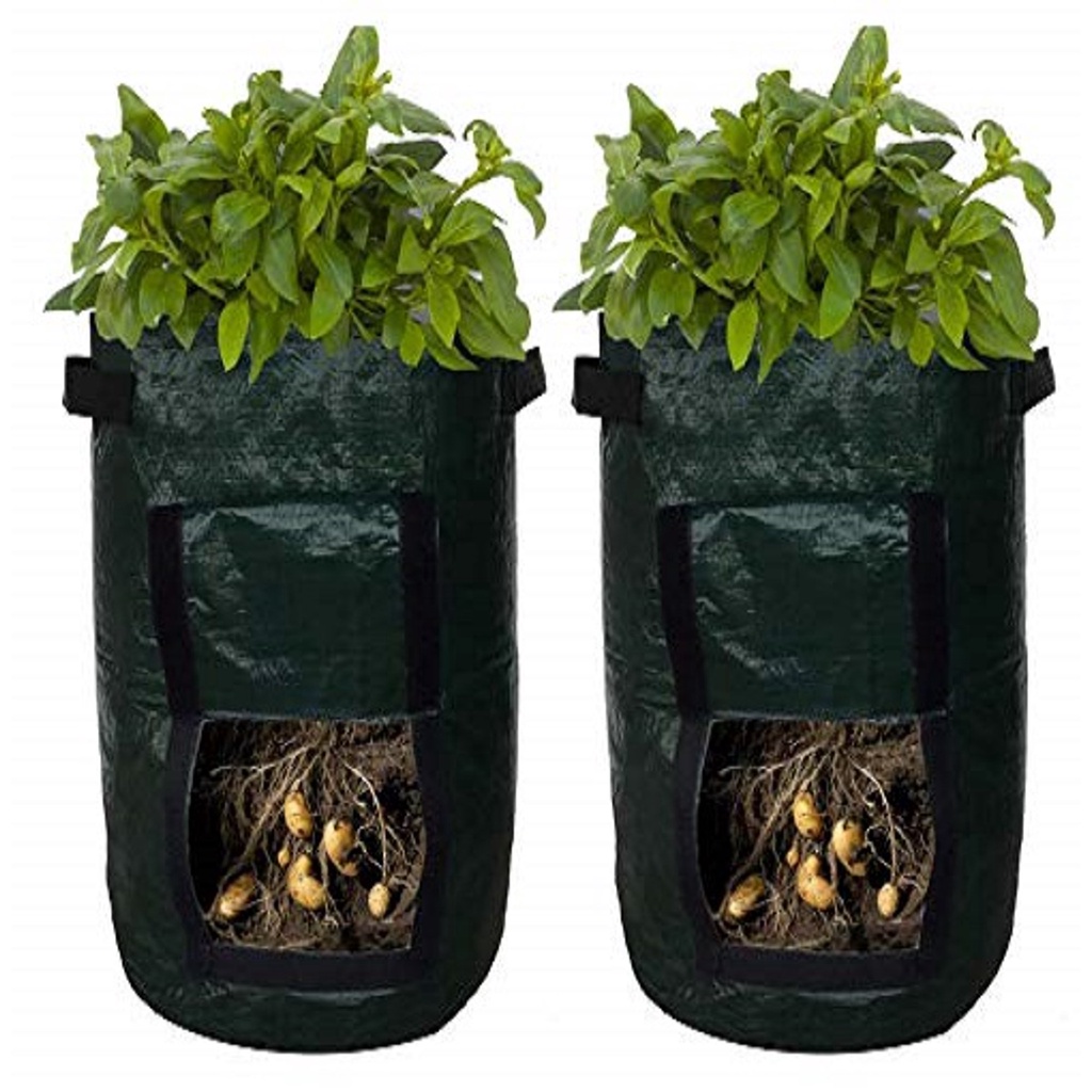 Jual POTATO PLANTER PLENTER BAG EASY GROW PLANTERBAG POT KENTANG JAHE ...