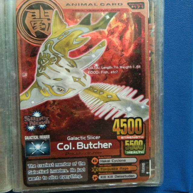 Jual Animal kaiser card old Col. Butcher (bronze card) | Shopee Indonesia