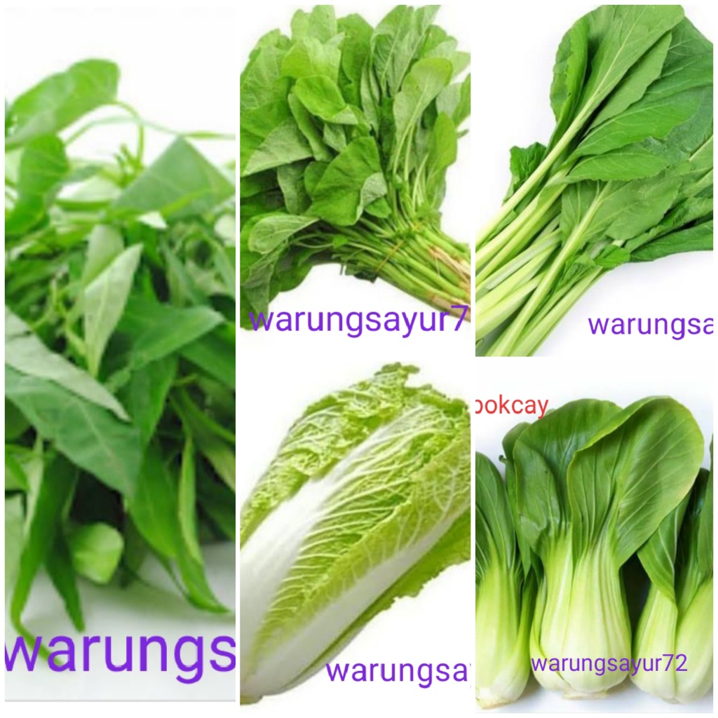 Jual Kangkung Bayam Sawi Hijau Sawi Putih Pokcay Shopee Indonesia