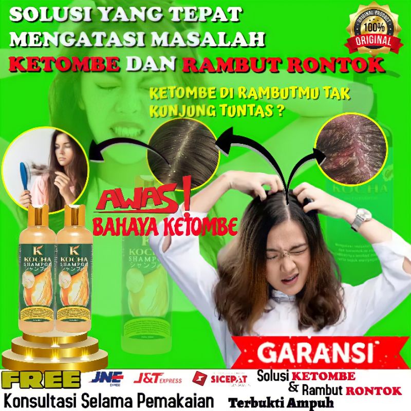 Jual Shampoo Anti Ketombe Dan Rambut Rontok 250ml Kocha Shampoo Anti Ketombe Dan Anti Dandruff 5574