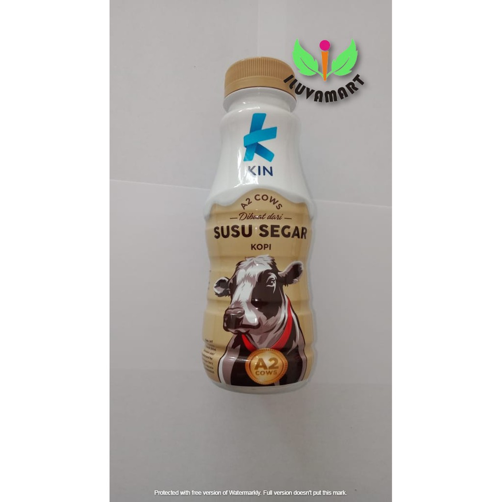 Jual Kin A2 Cows Fresh Milk 200ml Susu Rasa Coklat / Kopi Botol ...