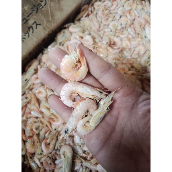 Jual udang ebi /udang ebi segar; 1kg best seler Shopee Indonesia