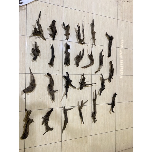 Jual kayu tenggelam akar tenggelam dangkel rentek aquascape paludarium ...