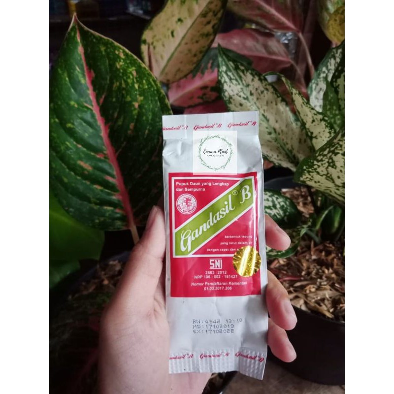 Jual Pupuk Gandasil B 100gr Buah Dan Bunga | Shopee Indonesia