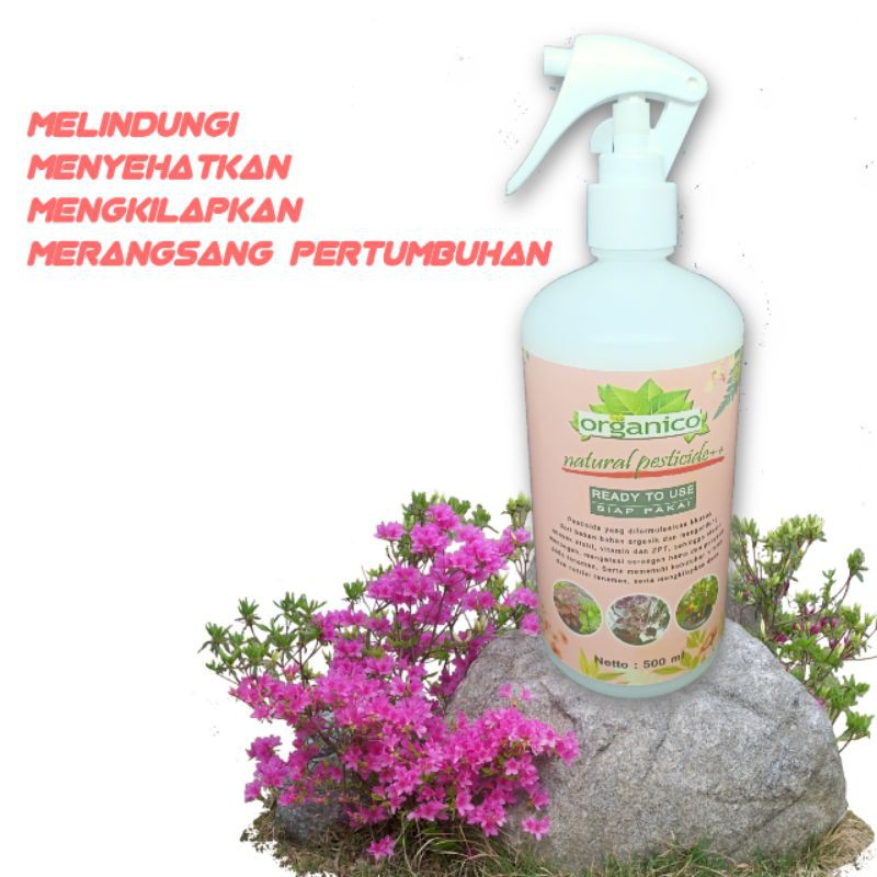 Jual (COD) Pestisida organik plus pengkilap 500 ml Shopee Indonesia