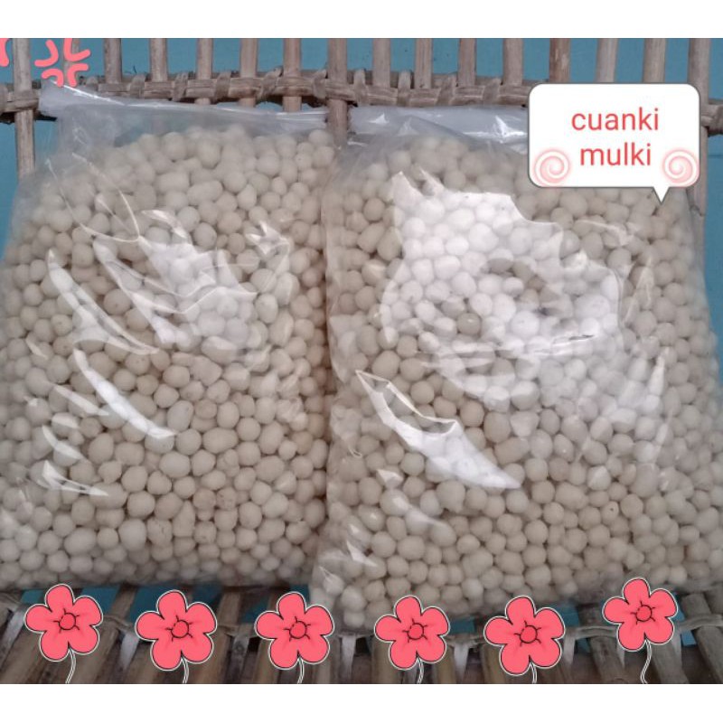 Jual Pilus Cikur 1kg Shopee Indonesia