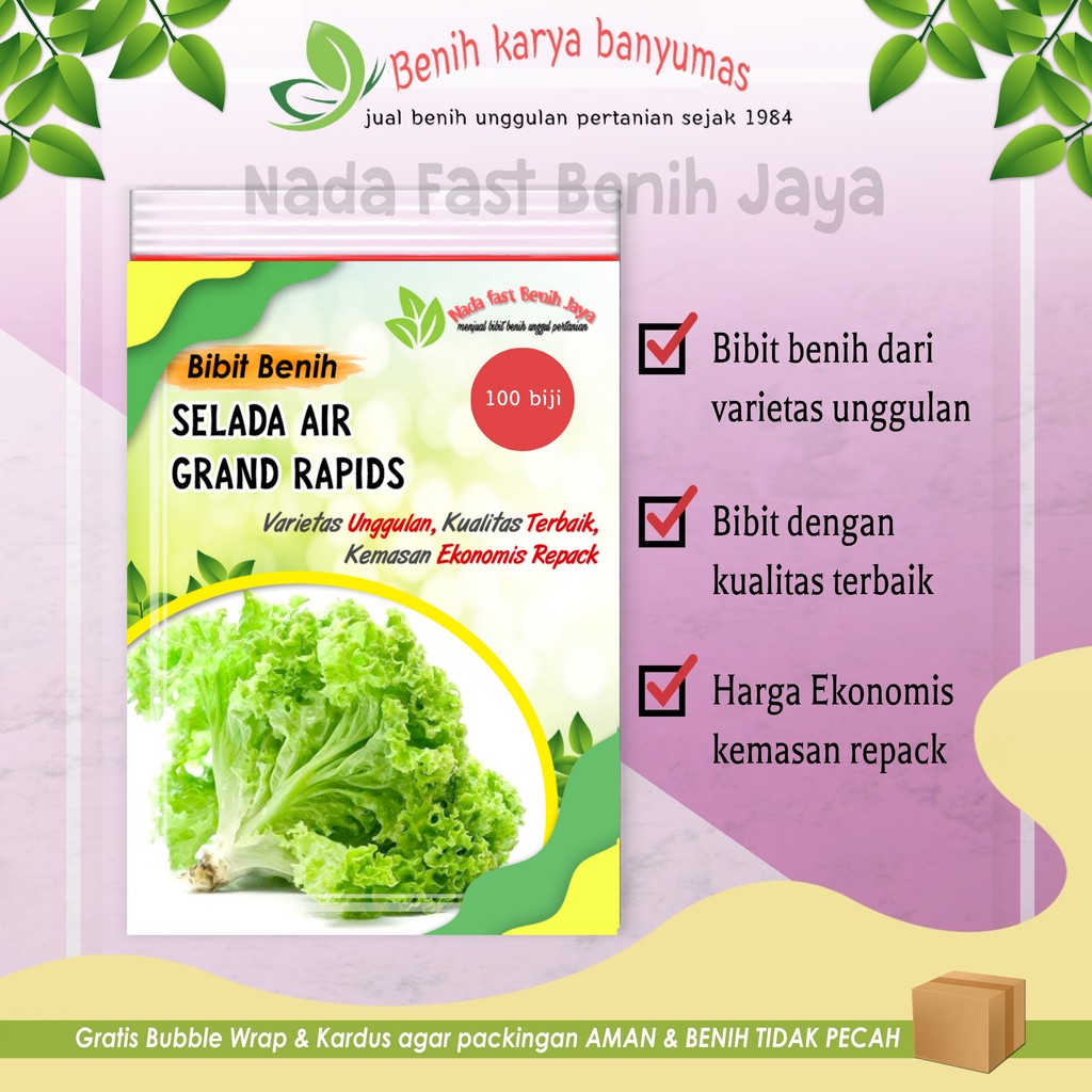 TERBAIK  PILIHAN Bibit sayuran selada hijau pilihan - 100 biji benih sayur selada kriting / selada air