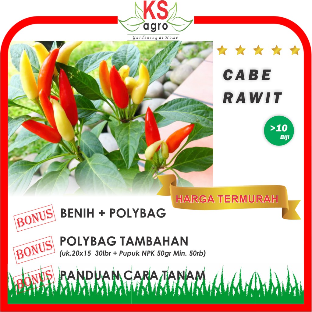 Jual BENIH CABE RAWIT BIBIT SAYURAN UNGGUL | Shopee Indonesia