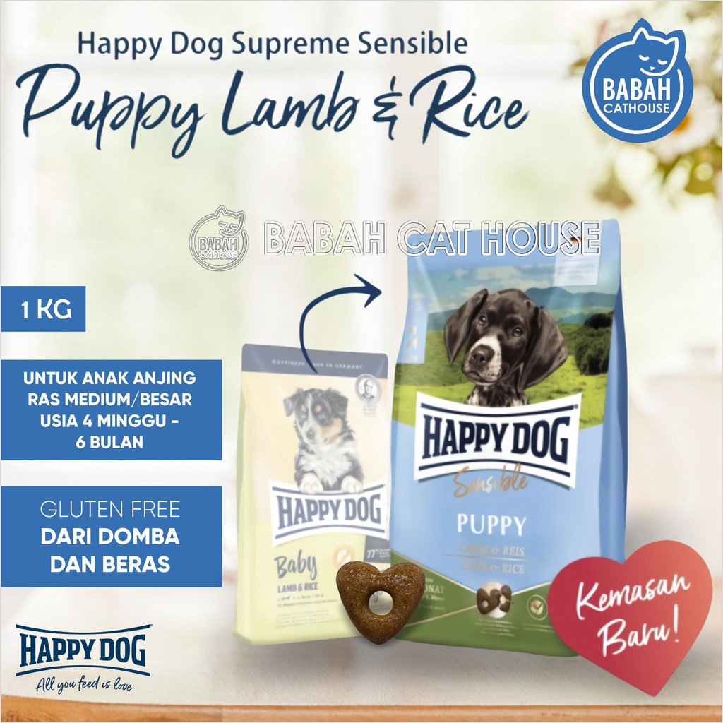 Happy dog puppy lamb and outlet rice