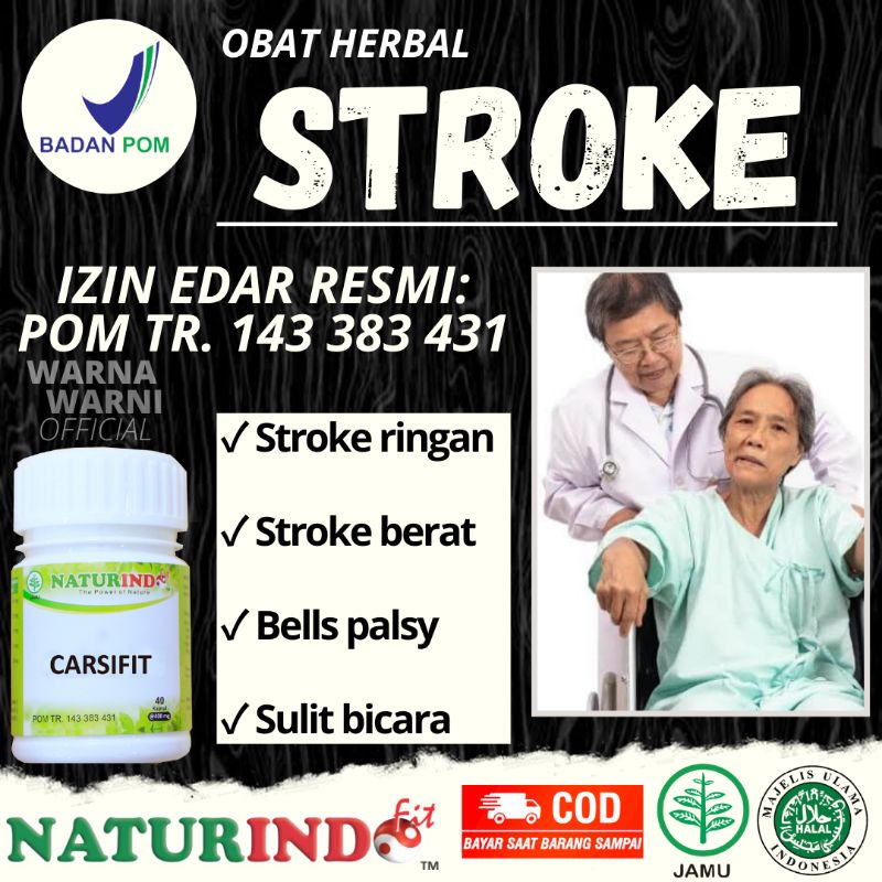 Jual Obat Stroke Ringan Berat Bells Palsy Sulit Bicara Hipertensi Darah