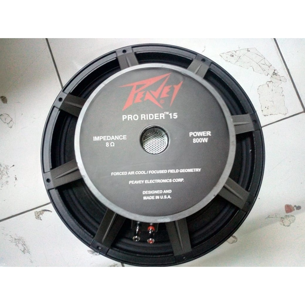 15 inch sales peavey speakers