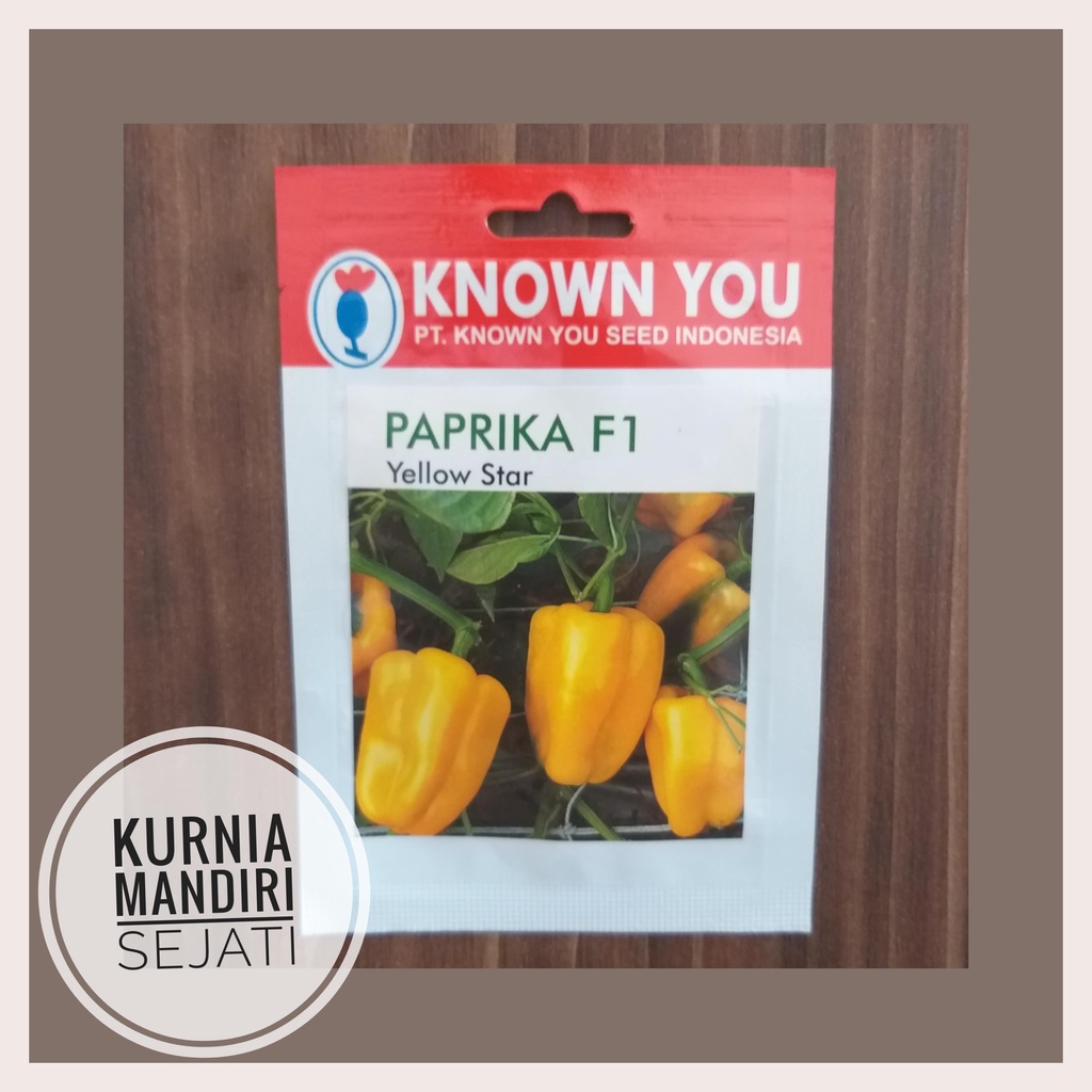 Jual Benih Paprika Kuning Hibrida Yellow Star Known You Seed Original