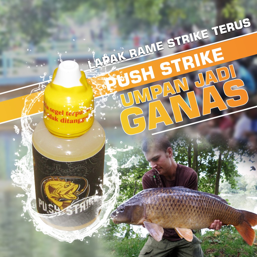 Jual Push Strike Essen Ikan Mas Harian Kilo Gebrus Lomba Galatama Original 30ml Paling Laris 3024