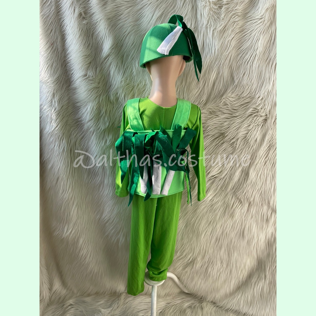 Leek on sale fancy dress