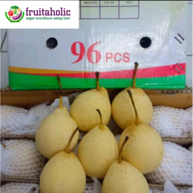Jual Pear Yalie 1 Kg Shopee Indonesia 
