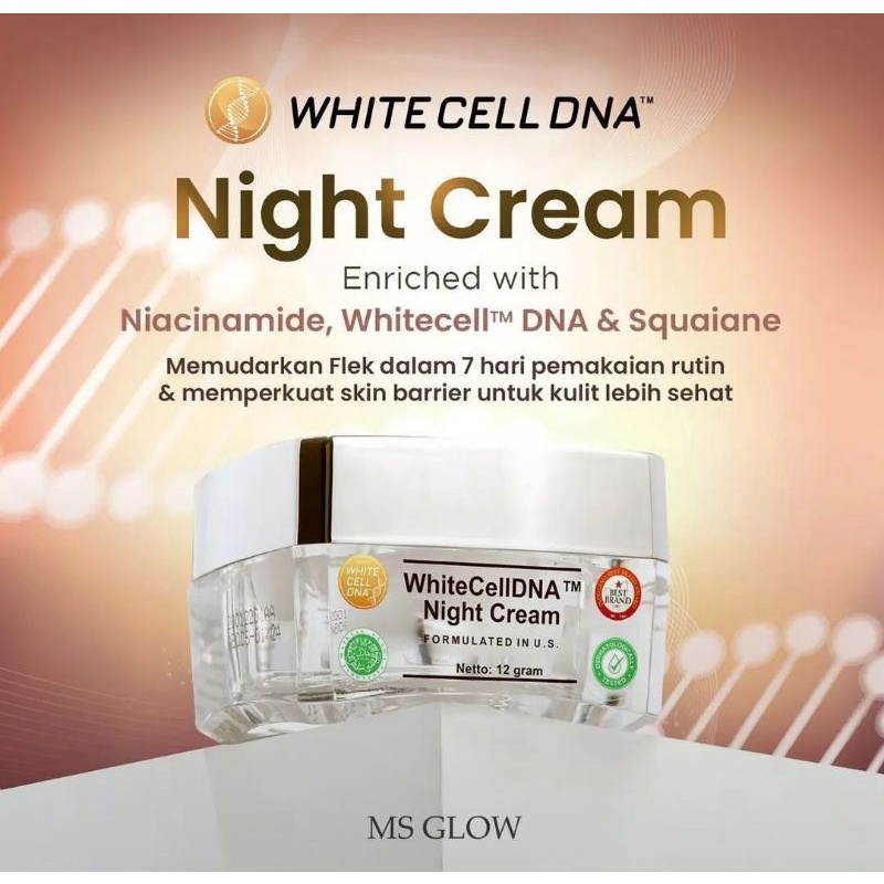 Jual WHITE CELL DNA NIGHT CREAM MS GLOW | Shopee Indonesia