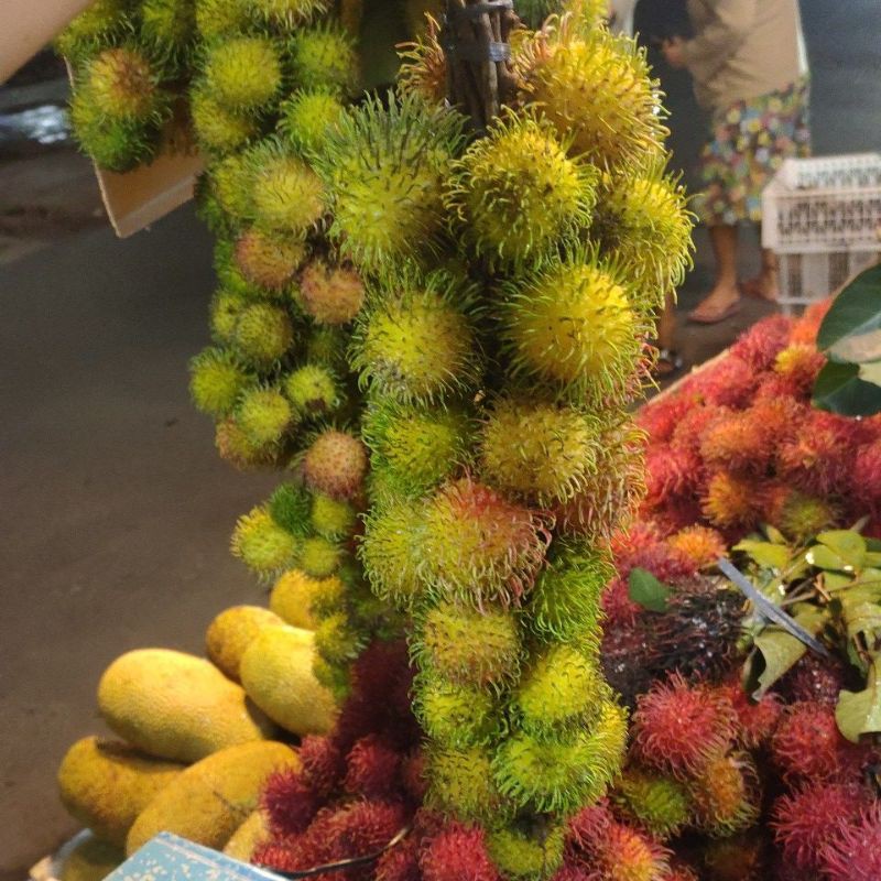 Jual RAMBUTAN RAPIAH/ikat | Shopee Indonesia