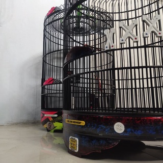 Shaxsiy anal jinsiy aloqa