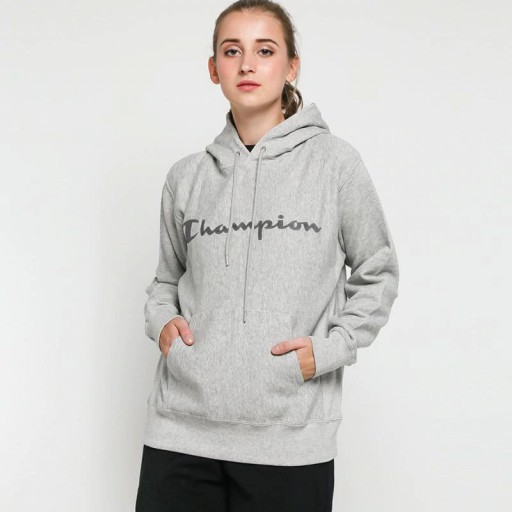 Reflective champion hoodie sale