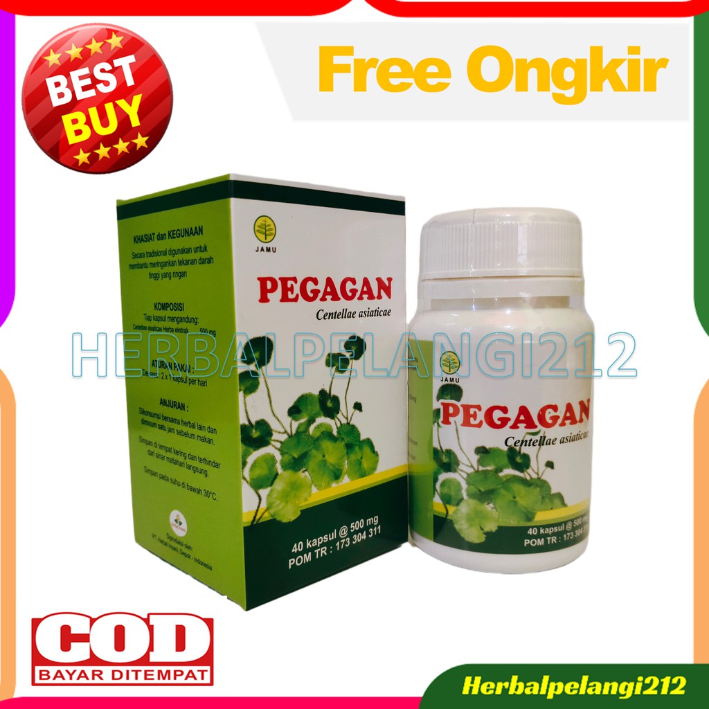 Jual ( COD ) Kapsul Pegagan TERBAIK Herbal Insani ( Isi 40 Kapsul ...