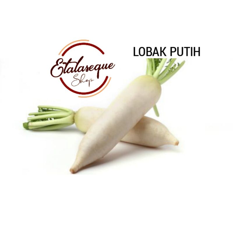 Jual Lobak Putih 1 Kg Shopee Indonesia