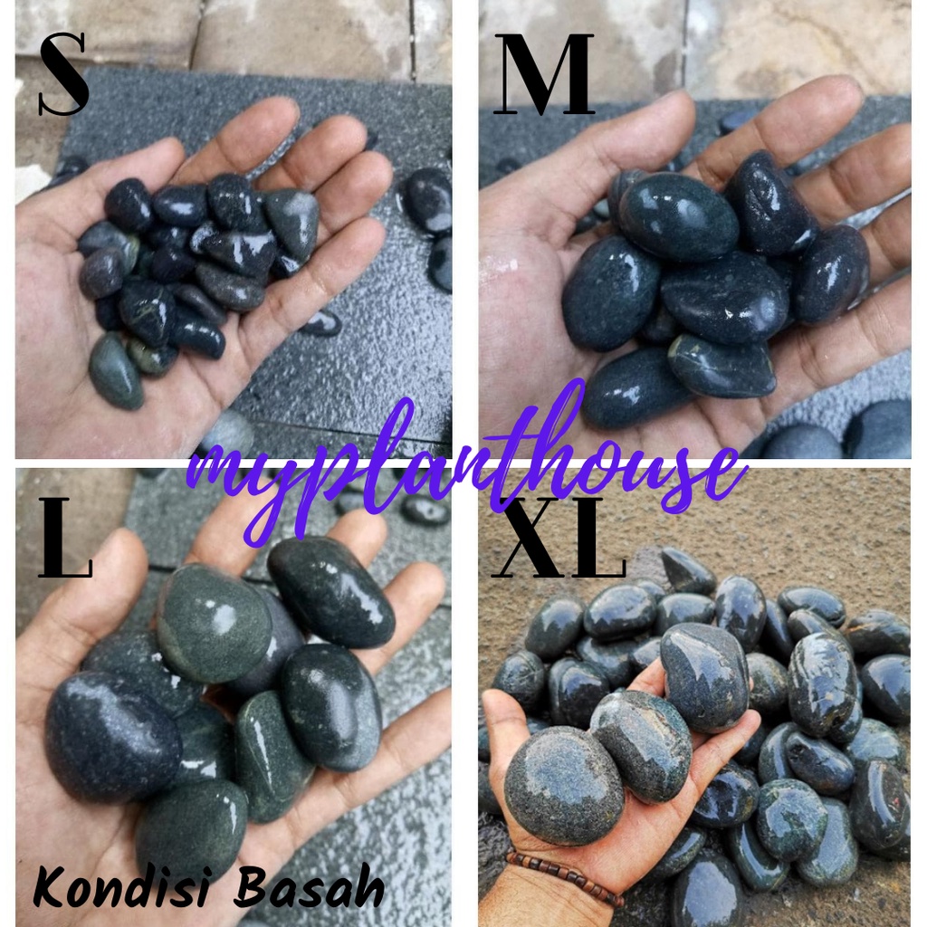 Jual Batu Koral Hitam Bengkulu Kg Shopee Indonesia