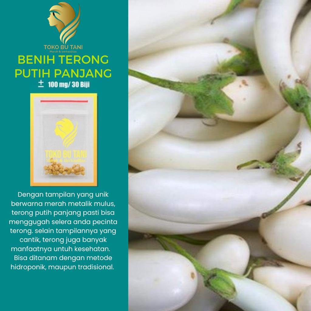 Jual Bibit Sayuran Benih Sayur Sayuran Paket Lengkap Tanaman Hidroponik