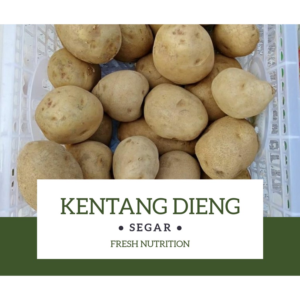 Jual Kentang Dieng Fresh 500gr Shopee Indonesia