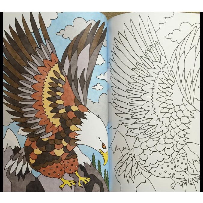 Jual CREATIVE COPYCAT COLORING BOOK - Adult Colouring Book IMPORT ...