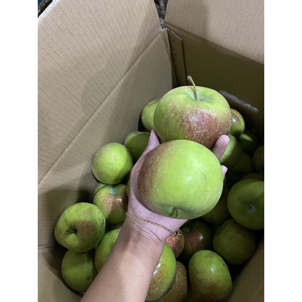 Jual apel rome beuty jumbo satu kilo isi 5-6 biji (apel malang ...