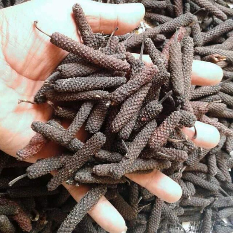 Jual Cabe Jamu Cabe Jawa Puyang 1kg Shopee Indonesia