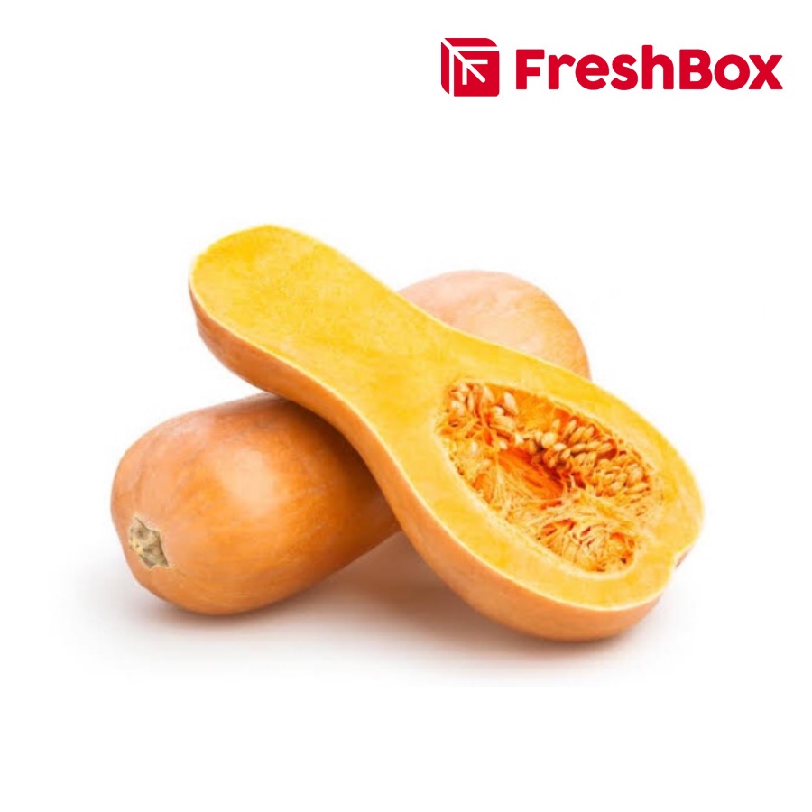 Jual Labu Butternut (pcs) FreshBox | Shopee Indonesia