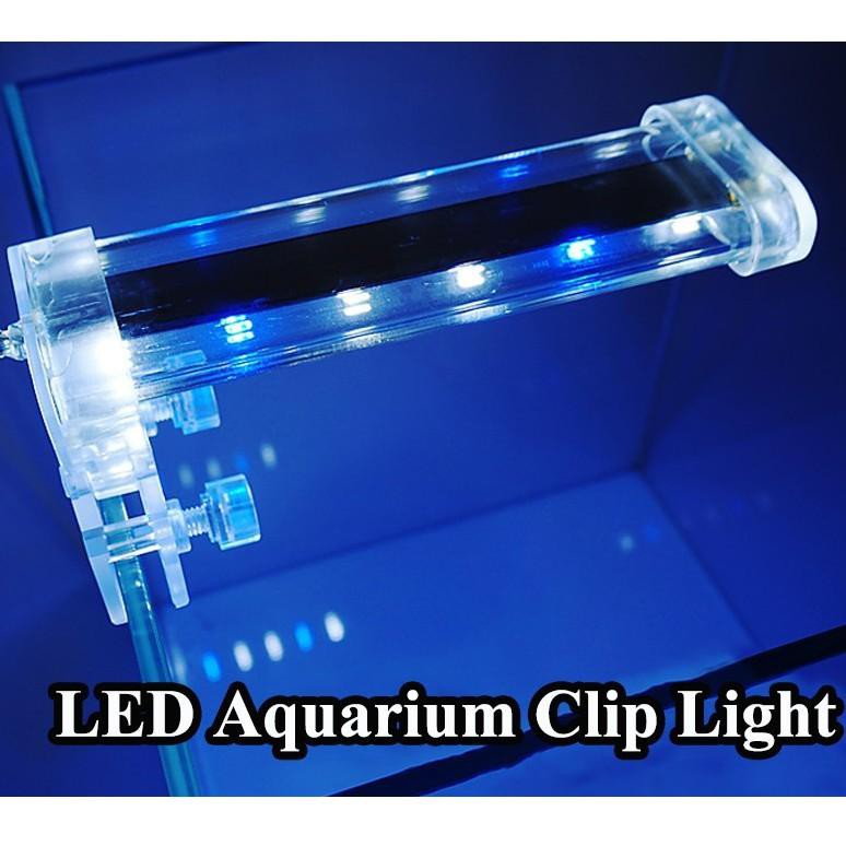 Jual Kc8Code LAMPU YANG LED 6 Watt Jepit 6watt 6 W 6w Aquarium Aquascape Populer T4U2 Shopee