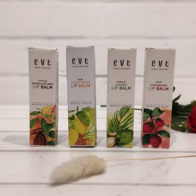 Jual Evete Naturals Lip Balm 5 gr (4 Varian) | Shopee Indonesia