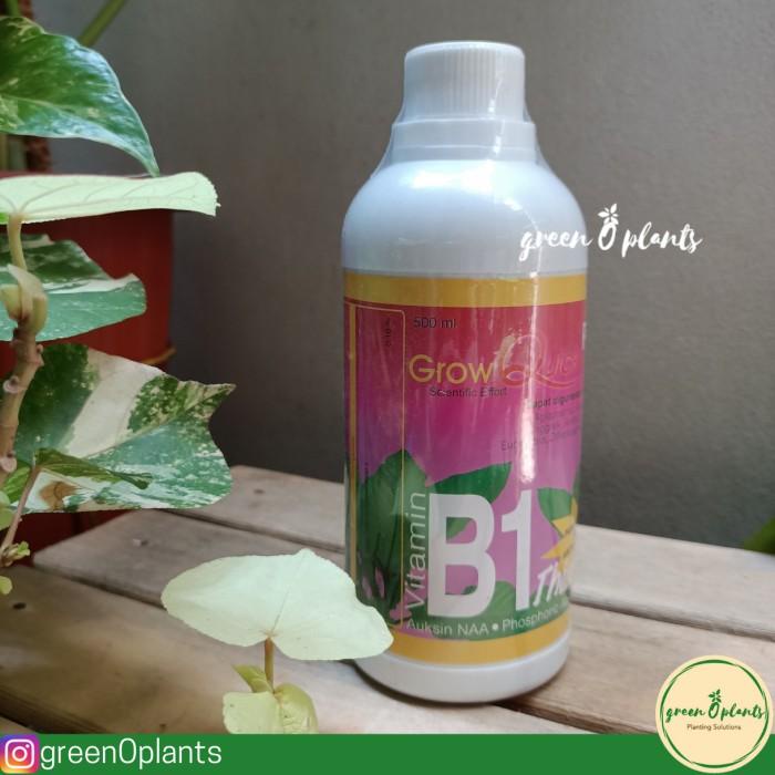 Jual Vitamin B1 Tanaman Grow Quick Plus 500Ml | Shopee Indonesia