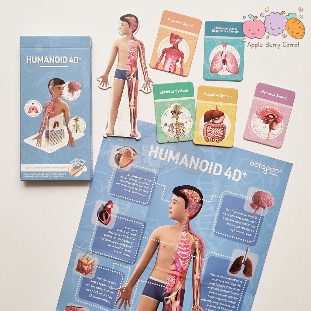 Jual Octagon 4D+ Augmented Reality Flashcard HUMANOID 4D + | Shopee ...