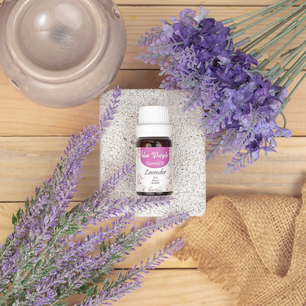 Jual Bluepurple Essential Aromatherapy / Aroma Terapi / Minyak Essesial ...