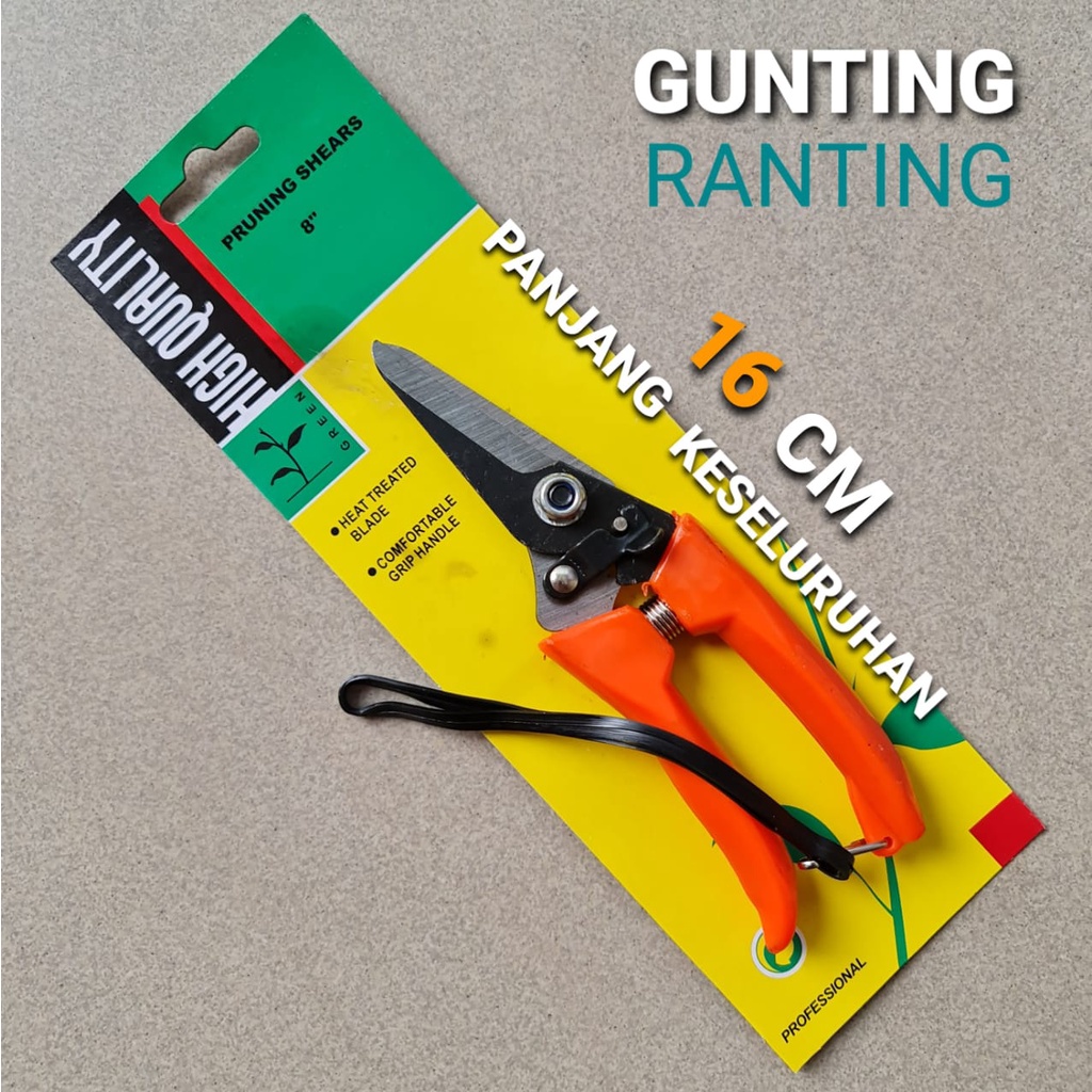 Jual Gunting Ranting Orange Lurus Shopee Indonesia