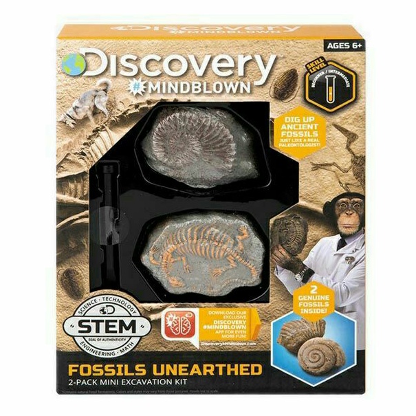 Jual Discovery Mindblown Excavation Fossil Kit Mini fossils unearthed ...