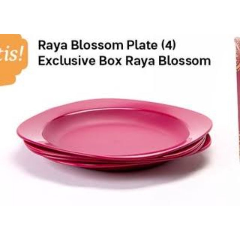 Jual plate raya (kulit manggis) 4pcs | Shopee Indonesia