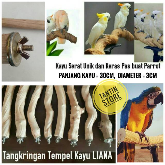 Jual Tangkringan Kayu Liana Burung Parrot Shopee Indonesia