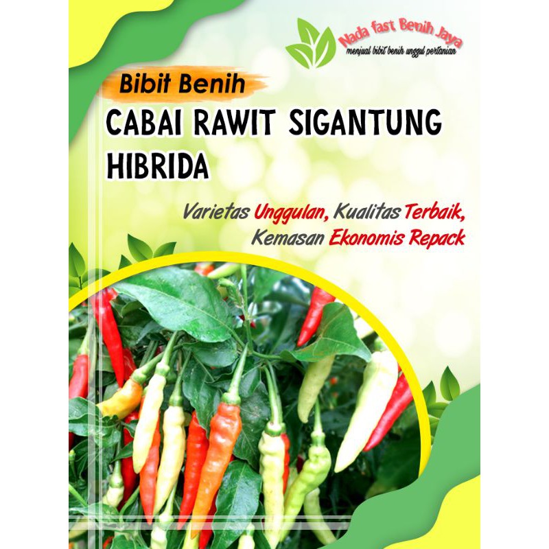 Jual Bibit Benih Biji Tanaman Sayur Benih Sayuran Komplit Bibit Sayuran