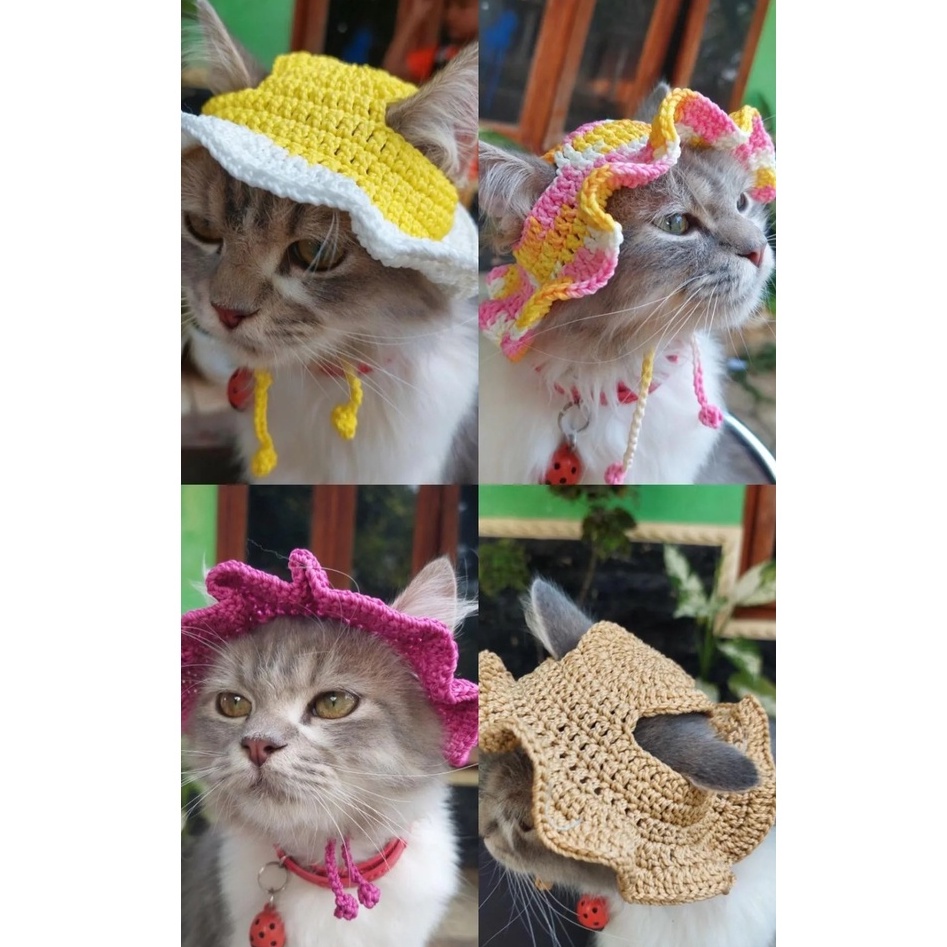 Jual Topi Kucing Rajut - Topi Kucing | Shopee Indonesia